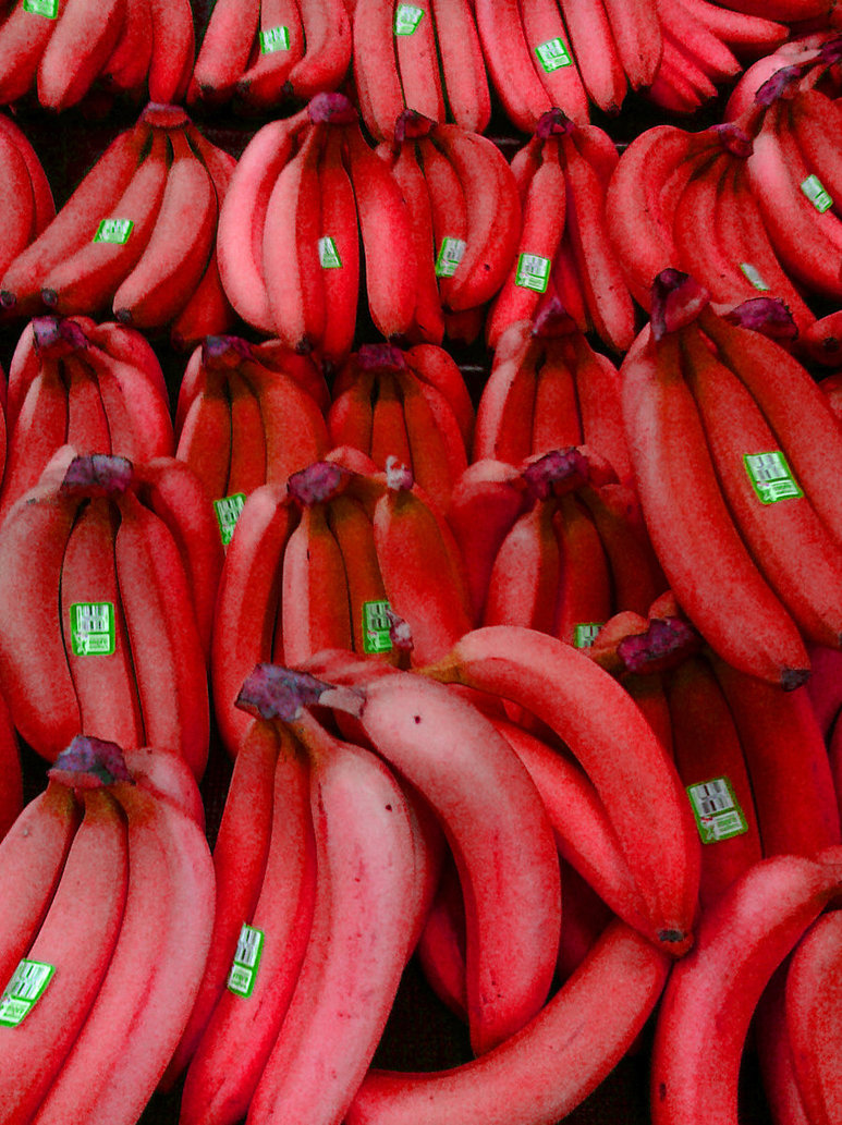 Hoax About Red  Bananas  Exposed Financial Tribune